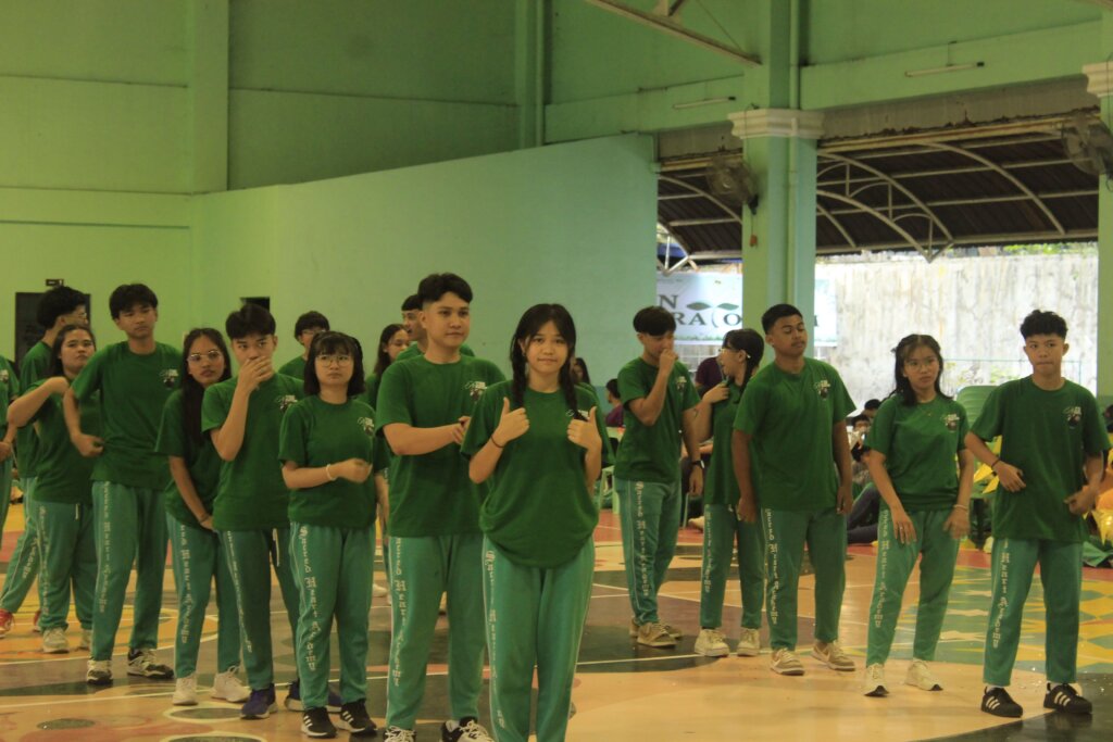 Stem-ICT-12