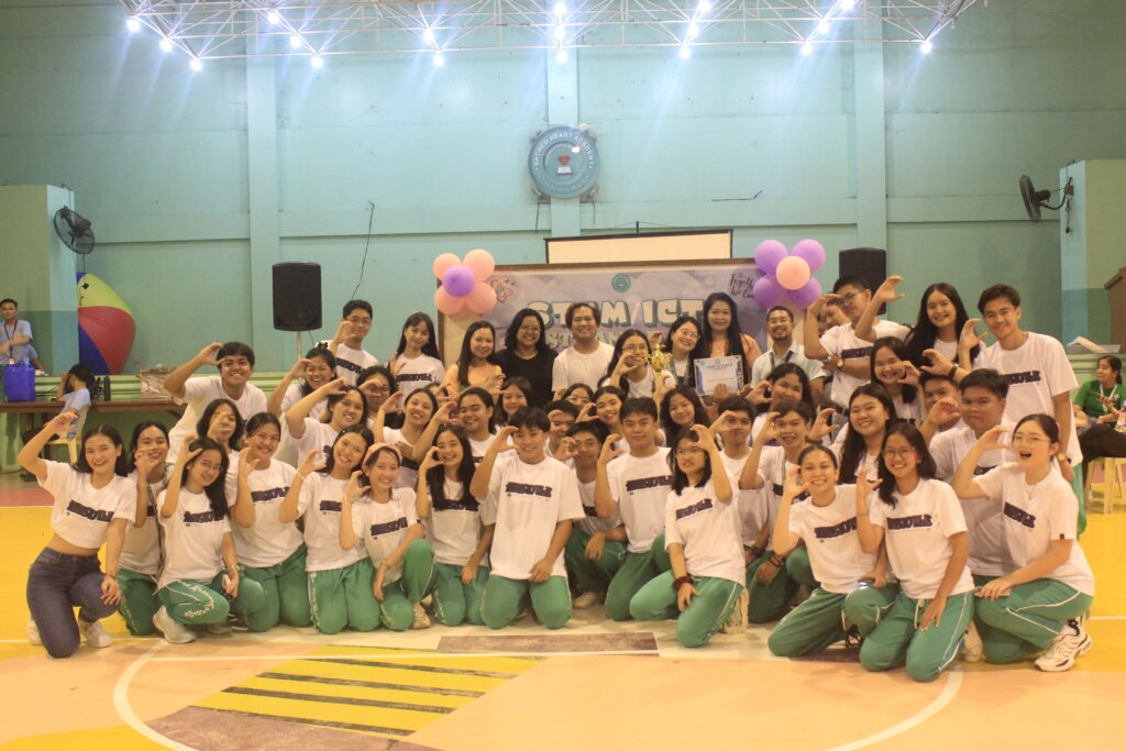 Stem-ICT-15