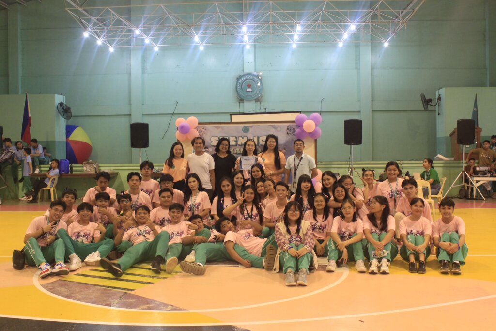 Stem-ICT-17