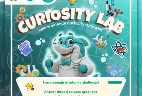 Curiosity Lab D’ Explorers