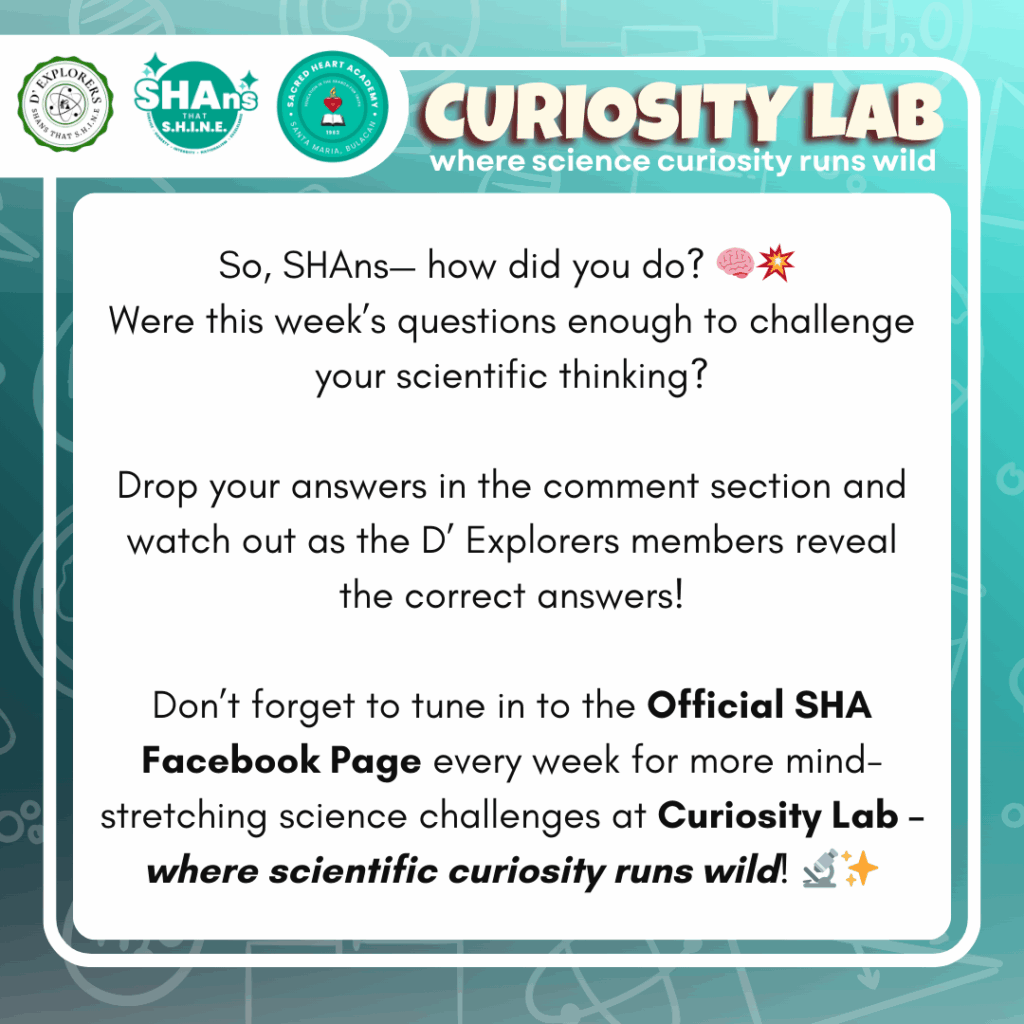 Curiosity Lab D’ Explorers